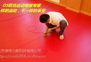 广东普宁舞蹈地胶供应厂家,小丑品牌进口PVC