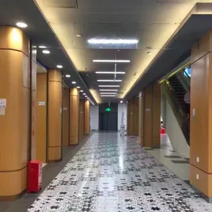 �����棩ɳ��ľ������������ֹ��ռ�������