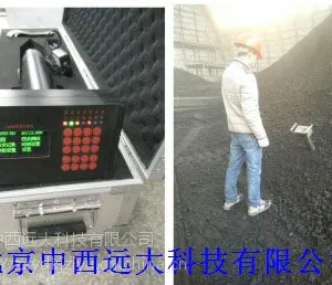 热值快灰仪/放射源便携煤 有放射源 型号:YG622-RKH-100库号:M18968