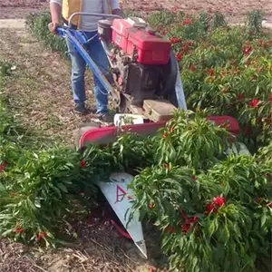 ������ޣ�ַ���ɹ�� ��֥��ũ�ø�˻�