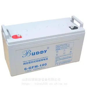 BUDDY��������6-CNJ-100����ʽ�ܷ�Ǧ����ά��12V100AH���ֱ����UPS