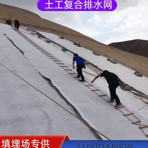 三维复合网芯 8mm土工复合排水网格 7mm复合排水网生产批发