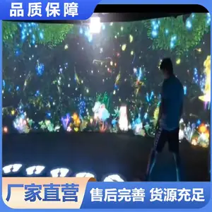 �������� ����ͶӰ������ ��Ӧ��ש��ɭ�ֶ�����һ��