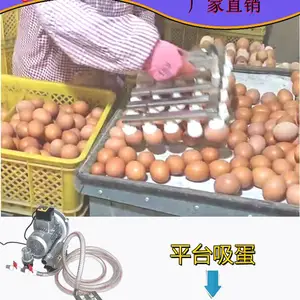 邦兴 XDQ-1真空码蛋器 304不锈钢结实耐用