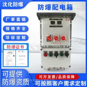 BXM(D)51-2KXX防爆温控仪表箱 定制电伴热配电柜 检修电源插座箱