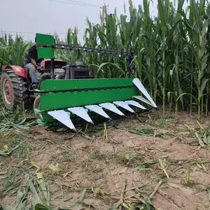 С���ǰ���ո�� ���ݲ����ո�� ���Ӱ�Ƥ���