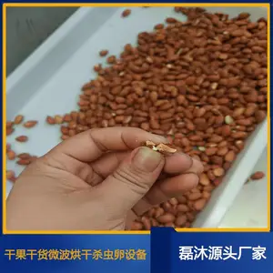 盐焗南瓜子微波烘烤熟化设备 莲子 杏仁烘焙机 智能控制
