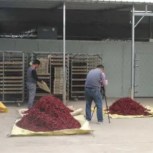 ������ȫ�Զ�������ɻ�-����˼��е�豸-ȫ�Զ�������ɻ��ͺ�