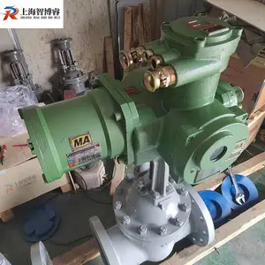 矿用防爆电动法兰闸阀Z941H-16C DN250智能开关型