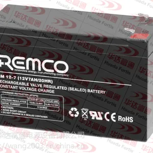 REMCO蓄电池 国内现货销售/报价