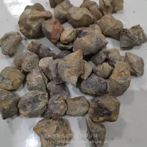 中药材石燕哪里买得到