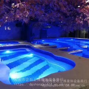 丽水别墅泳池设备 会所泳池工程销售