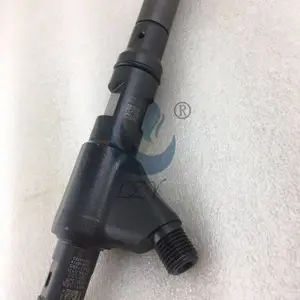 德尔福28437695喷油器/云内国五喷油器28437695山东力之源油嘴油泵供应商