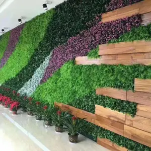 �㰲��ɫ���� �������������� ֲ��ǽ�̻�����