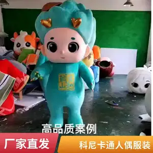 ���� IP ��ż��װ����***������ר����������