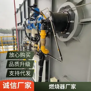 炭化炉 生物质气燃气燃烧器天然气燃烧机源头厂家岱鼎燃烧