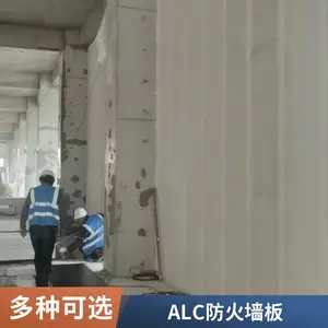 ����ǽ aac��ѹ������������ �칫¥ ������ͬ���� ���ʵҵ