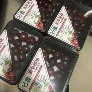 ��װ����������������װ�� ����ʳƷ��ʽ��װ��