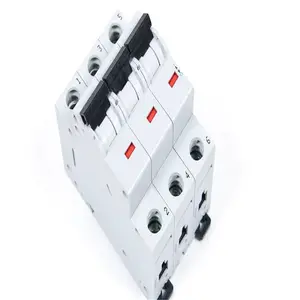双电源自动转换开关2P 63A 切换器开关 CB级ATS家用单相220V