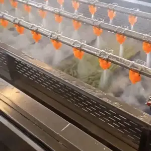 果蔬气泡清洗机 果蔬清洗机 蔬菜清洗风干机 清洗机
