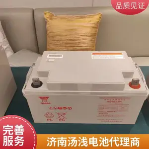YUASA汤浅蓄电池NP225-12 12V225AH通信机房 光伏发电 直流屏 UPS电源