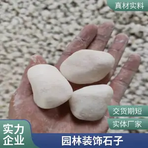 园林绿化装饰白石子 盆景装饰用机制鹅卵石 机制白色鹅卵石厂家