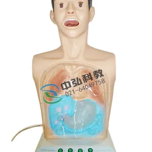 欣标科教Y2***透明洗胃训练模型,透明洗胃机制训练模型