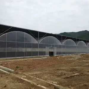 ������������/��Ĥ�������ӹ�/������������/��������/�������ҽ���