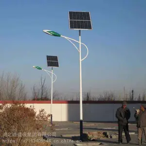 太阳能路灯 风景区太阳能路灯高效光能庭院灯工程定制