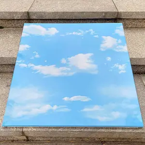 ���ɵ������۰�600X600ƽ��������Ƹ�Ĥ�幤�̲��Ϸ�ɽ����ֱ��