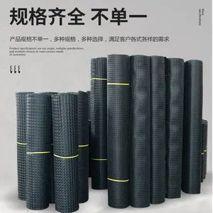 190克养殖用土工格栅使用 果园菜园围网 鸡鸭鹅散养网