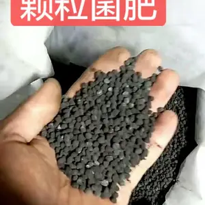 苹果树用5亿大豆生物菌肥做底肥 促生根补充营养