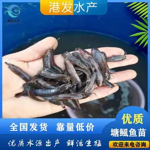 ������������һ�� �㶫�޶����������������� ���ع�Ӧ ����
