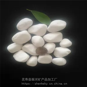 厂家供应树坑用白石子 抛光鹅卵石厂家