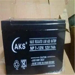�¿�������NP12-24 12V24AH���۶��ٵ���