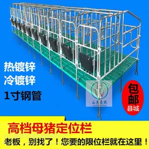 厂家直销母猪定位栏限位栏养猪用围栏定位栏限位栏