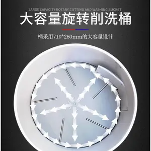 甜菜 萝卜 土豆 削皮用的机器 果蔬削皮机 削皮清洗一步到位
