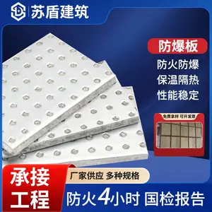 �ն� ����������ǽ �������й������ ʩ��һ�廯����