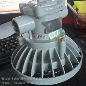 宇成DGS30/127L(A)煤矿用隔爆型LED巷道灯 圆型长型防锈防腐蚀
