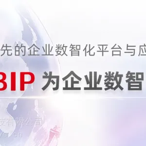 用友BIP|用友BIP财务云|用友BIP智慧财务|BIP财务