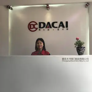 重庆大才阀门制造有限公司