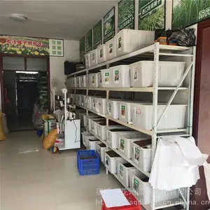 �����²�ժ��ľ���� �϶������� ��ѿ*** �۸���� ***