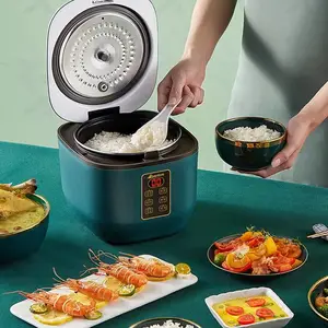 ������С�͵緹��1.6L����๦������ȫ�Զ�ѧ��1�󷹹�2��XH-16