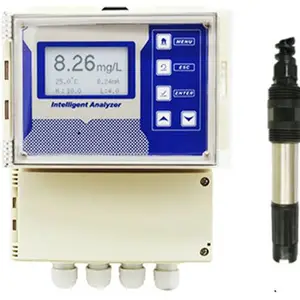 ST-L808B壁挂式溶解氧仪,壁挂式溶解氧仪厂家