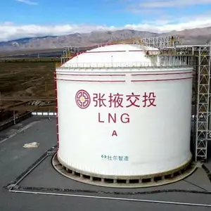杜尔气体煤焦化项目 10000立方LNG低温全容储罐 控制系统设计