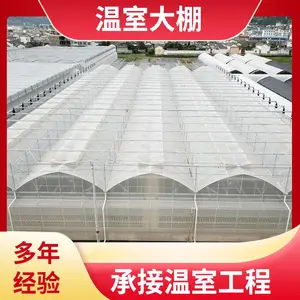 ��������һĶ �� ��С����̬���ߴ��� �����Ǽ� �п� ͨ��͸�� ZKXL-01