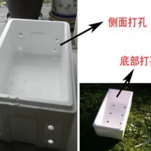 香瓜箱,EPS水果容器,水果物流泡沫箱,种菜用泡沫箱
