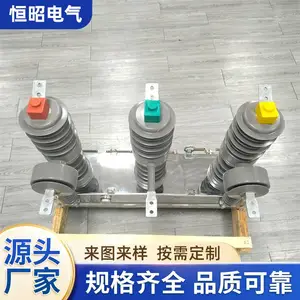 ZW32-12/630��ѹ��ն�·�� 10KV���Ͽ��Ź�����