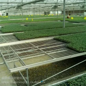 简述汉明蔬菜移动苗床应用领域