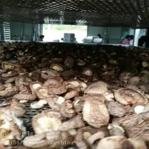 �ȱ�С���㹽��ɻ����ʲ�Ʒ �������㹽��ɻ�